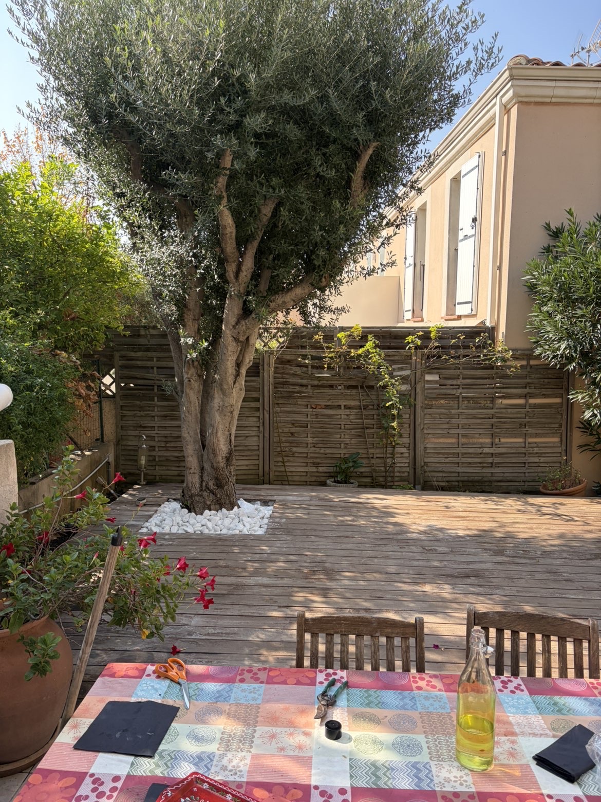 Terrasse encadrement